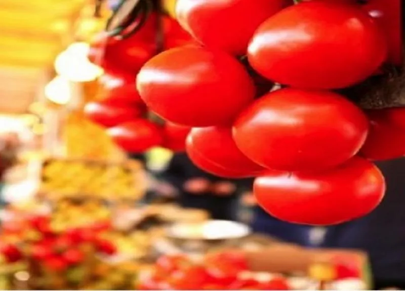 春天酒店 巴黎